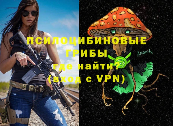 МДПВ Абаза