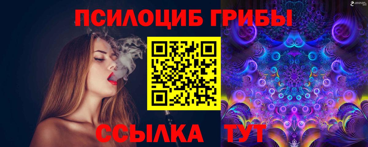 Галлюциногенные грибы Cubensis  Вход с VPN  Ртищево 