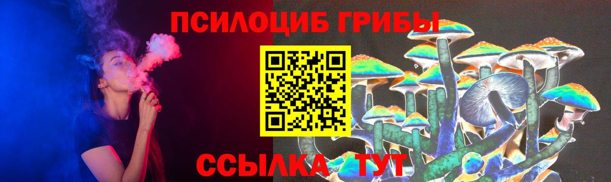 Галлюциногенные грибы Cubensis Ртищево